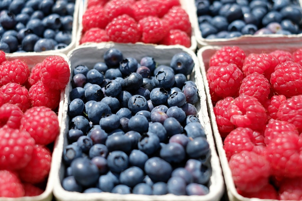 蓉巍小秘訣36-藍莓-山莓- 素食者不可不注意的營養攝取-蓉巍有機