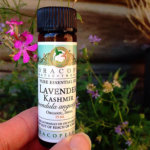 芳香寶藏─喀什米爾薰衣草精油 Lavender Kashmir Essential Oil (15mL)