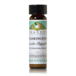 芳香寶藏─紙皮乳香精油 Frankincense Papyrifera Essential Oil
