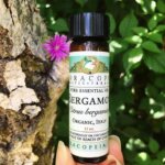 芳香寶藏─佛手柑精油 Bergamot Essential Oil, Organic